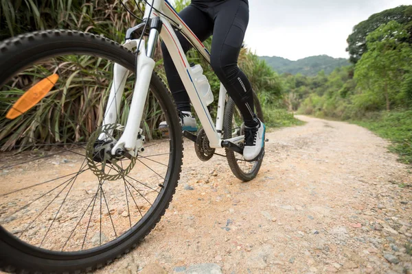 Female Cyclist Riding Bike Nature Trail Mountains — Stock Photo, Image