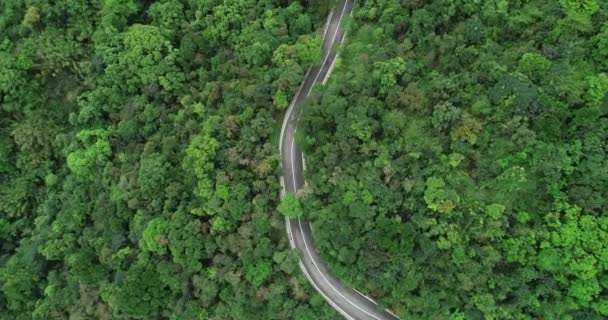 Letecký Pohled Horskou Cestu Kvetoucím Lese — Stock video