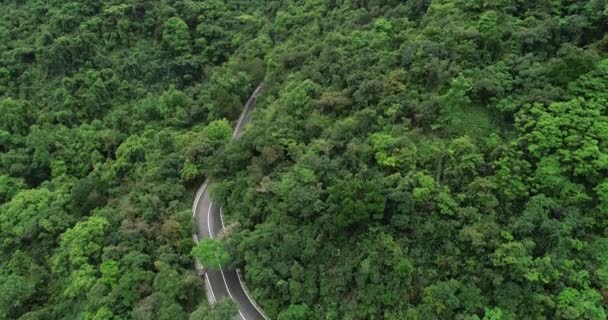 Drohne Luftaufnahme Der Bergstraße Blühenden Wald — Stockvideo