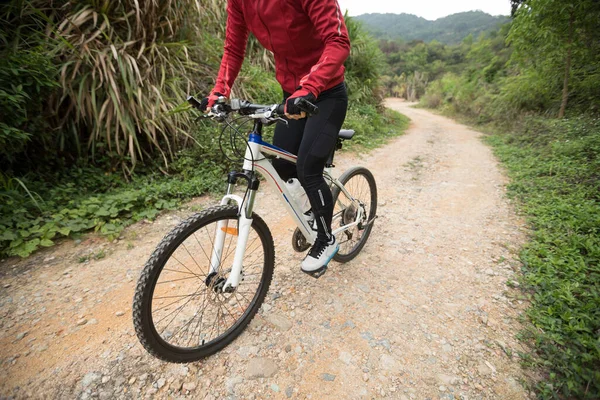 Bisikletli Bir Kadın Dağlarda Doğa Yolunda Bisiklet Sürüyor — Stok fotoğraf