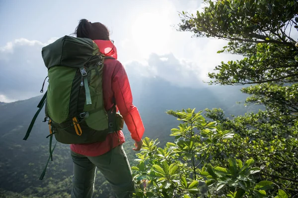 Exitoso Excursionista Disfrutar Vista Cima Montaña —  Fotos de Stock