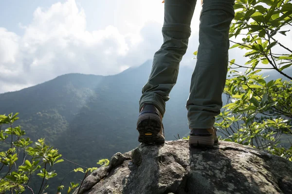 Exitoso Excursionista Disfrutar Vista Cima Montaña Borde Del Acantilado —  Fotos de Stock