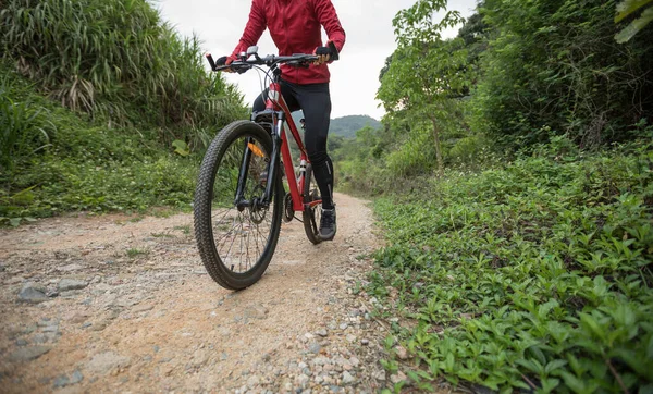 Woman Cyclist Riding Bike Nature Trail Mountains — Stock Photo, Image