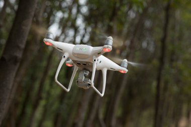 Beyaz dron tropikal ormanda uçan kamera ile