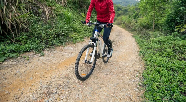 Woman Cyclist Riding Bike Nature Trail Mountains — Stock Photo, Image