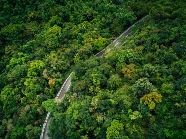 İlkbahar tropikal ormanlarında hava aracı görüntüsü