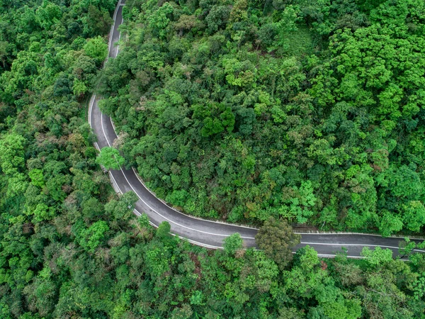 Vista Aérea Drone Trilha Floresta Tropical Mola — Fotografia de Stock