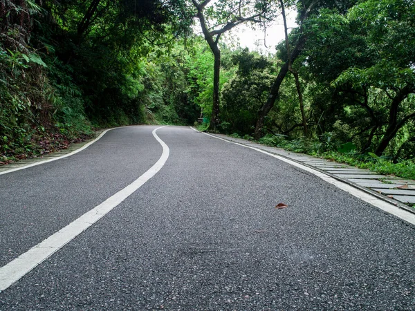 春の熱帯林に覆われた道路上の眺め — ストック写真