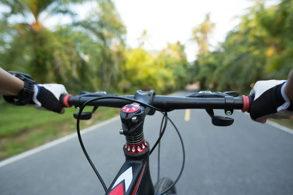 Велосипедний Гірський Велосипед Тропічній Лісовій Стежці — стокове фото