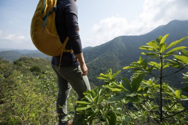Başarılı yürüyüşçü dağın tepesindeki manzaranın tadını çıkar.