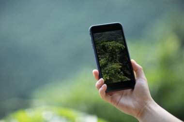 Cep telefonu kullanan el, bahar doğasında fotoğraf çekiyor.