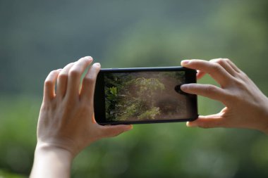 Cep telefonu kullanan eller bahar doğasında fotoğraf çekiyor.