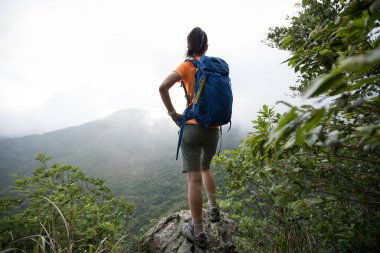Başarılı yürüyüşçü dağın tepesindeki manzaraya bakıyor.
