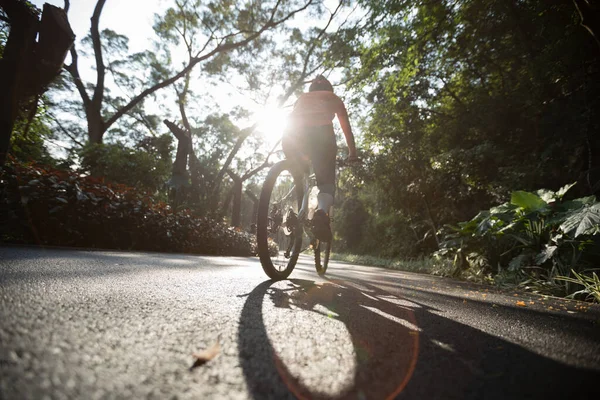 Mujer Ciclismo Carril Bici Parque Día Soleado —  Fotos de Stock