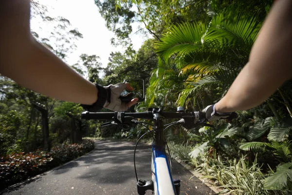 Використовувати Смартфон Додаток Навігації Під Час Їзди Велосипеді Лісовій Стежці — стокове фото