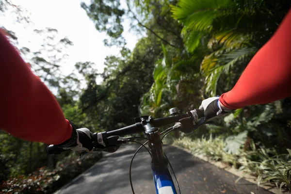 Вид Велосипедну Ручку Фоном Лісової Стежки — стокове фото