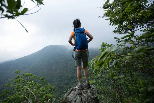 Erfolgreicher Wanderer Mit Blick Auf Die Aussicht Auf Die Felskante — Stockfoto