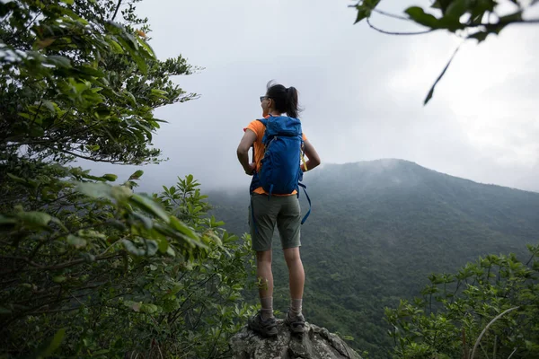 Caminhante Bem Sucedido Olhando Para Vista Borda Penhasco Topo Montanha — Fotografia de Stock