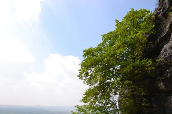 Pravcicka Kepçesine Tırmanış — Stok fotoğraf