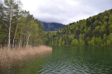 Bulutlu havada Bavyera Alplerinde yürümek
