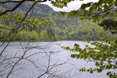 Bulutlu havada Bavyera Alplerinde yürümek