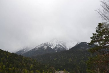 Avusturya 'nın görkemli Alpleri