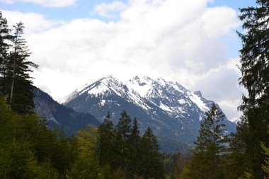 Avusturya 'nın görkemli Alpleri