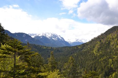Avusturya 'nın görkemli Alpleri