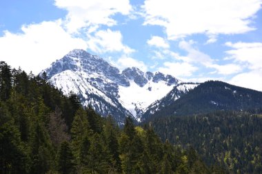 Avusturya 'nın görkemli Alpleri