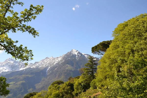 Mai Journée Ensoleillée Dans Les Alpes Italiennes — Photo