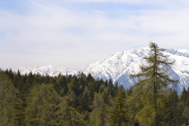 Merano 'da bahar Alp tırmanışı