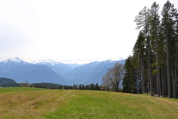 Spring Alpine Ascent Merano — Stock Photo, Image