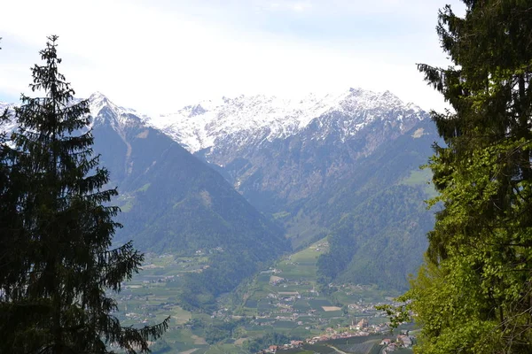 Merano Bahar Alp Tırmanışı — Stok fotoğraf