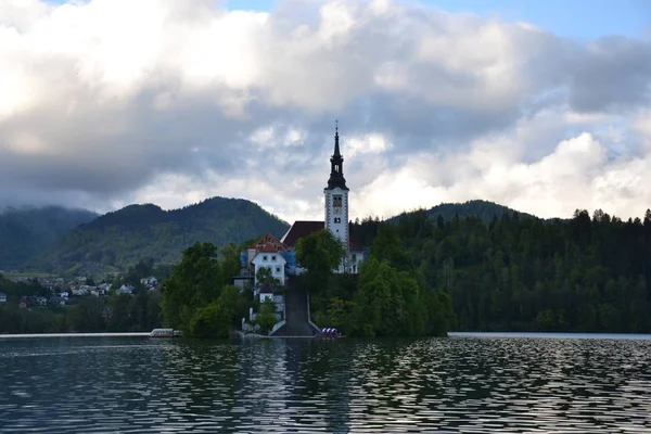 Various Beauties Lake Bled — Stock Photo, Image