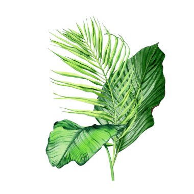 Tropikal bitkilerle suluboya buketler, yapraklar ve strelitzia çiçekleri. Sevgililer günü, düğün davetiyeleri, Hawaii doğum günü ve plaj partisi için harika.