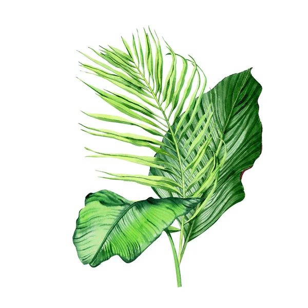 Plantas De Estilo Cartoon Clipart De Vegetação Em Um Fundo Branco Vetor PNG  , Vegetação, Clipart, Desenho Animado Imagem PNG e Vetor Para Download  Gratuito