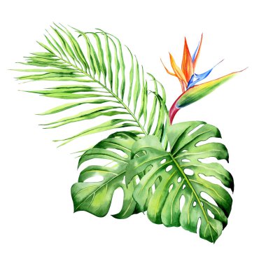 Tropikal bitkilerle suluboya buketler, yapraklar ve strelitzia çiçekleri. Sevgililer günü, düğün davetiyeleri, Hawaii doğum günü ve plaj partisi için harika.