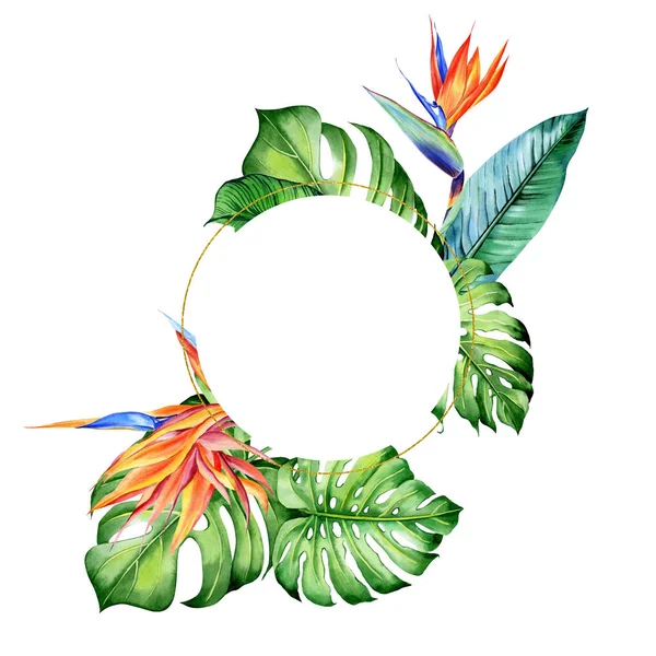 129 ilustraciones de stock de Flores png | Depositphotos® 129 ilustraciones de stock de Flores png | Depositphotos®