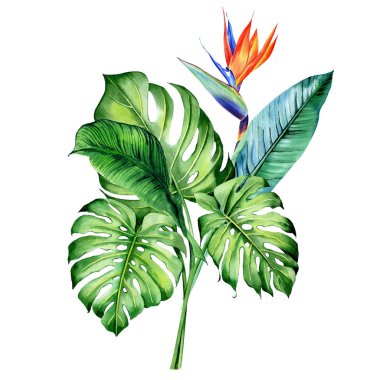 Tropikal bitkilerle suluboya buketler, yapraklar ve strelitzia çiçekleri. Sevgililer günü, düğün davetiyeleri, Hawaii doğum günü ve plaj partisi için harika.