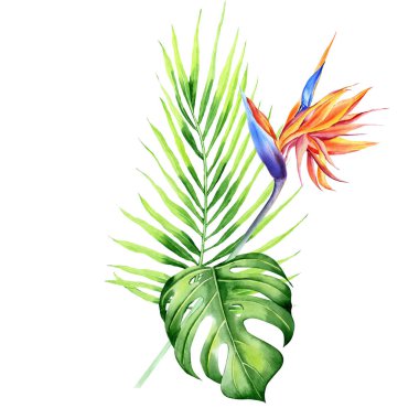 Tropikal bitkilerle suluboya buketler, yapraklar ve strelitzia çiçekleri. Sevgililer günü, düğün davetiyeleri, Hawaii doğum günü ve plaj partisi için harika.