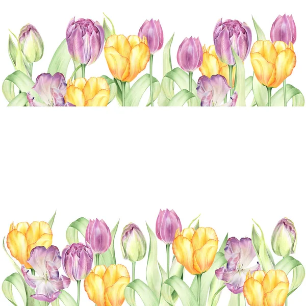 Tulipes Aquarelles Bourgeons Feuilles Illustration Botanique Peinte Main — Photo