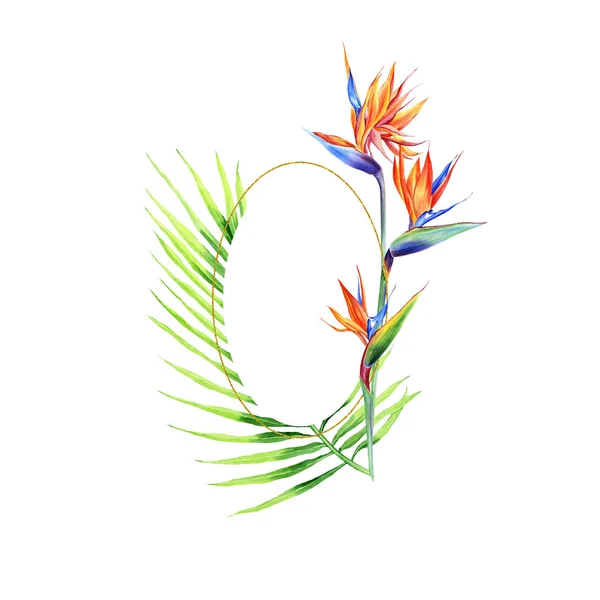 Akvarell Och Gyllene Ramar Med Tropiska Växter Blad Och Blommor — Stockfoto