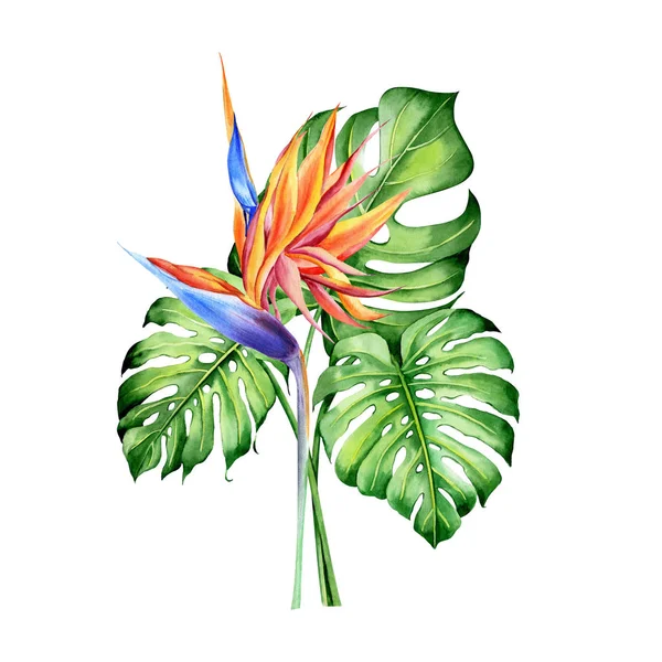 Tropikal bitkilerle suluboya buketler, yapraklar ve strelitzia çiçekleri. Sevgililer günü, düğün davetiyeleri, Hawaii doğum günü ve plaj partisi için harika.