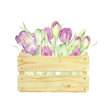 Suluboya laleler. Paskalya şablonları, bahar düğün çiçekleri