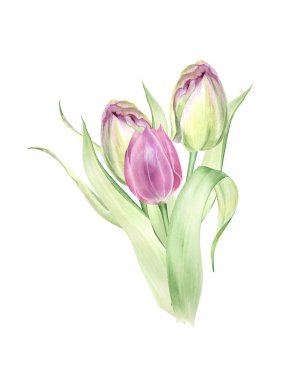 Suluboya laleler Paskalya şablonları, bahar düğün çiçekleri