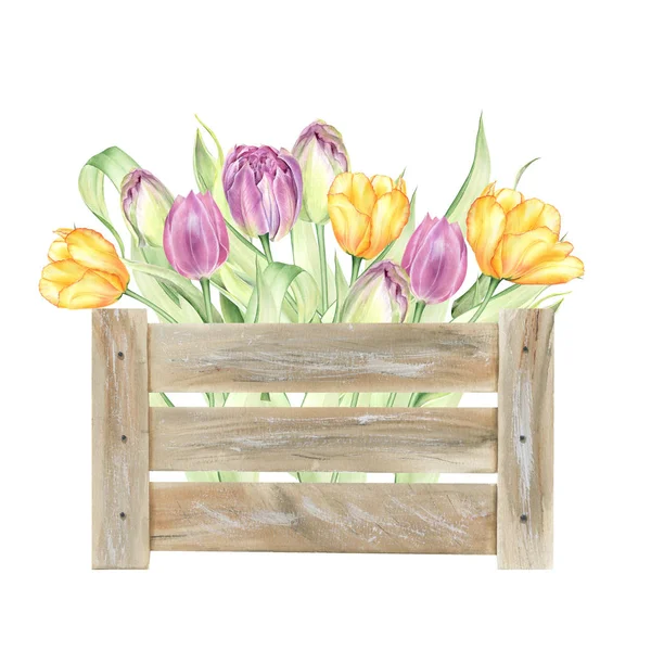 Akwarelowe Tulipany Szablony Wielkanocne Wiosenne Kwiaty Ślubne — Zdjęcie stockowe