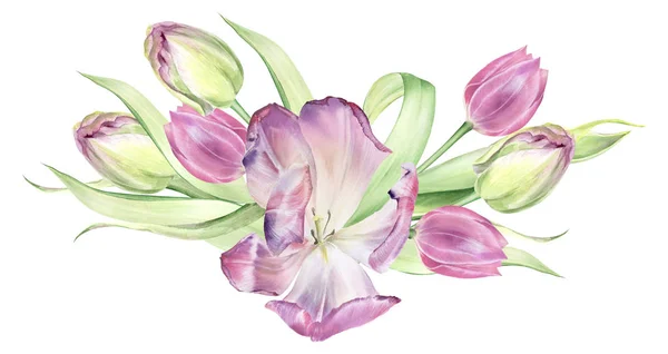 Buquês Tulipas Aquarela Modelos Páscoa Flores Casamento Primavera — Fotografia de Stock