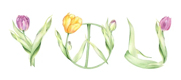 Watercolor Floral Spring Lettering Tulips Arrangements Peace Sign Valentines Tulips — 图库照片
