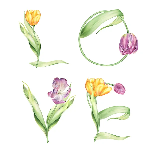 Watercolor Floral Spring Lettering Tulips Arrangements Peace Sign Valentines Tulips — Stok fotoğraf