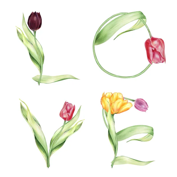 Watercolor Floral Spring Lettering Tulips Arrangements Peace Sign Valentines Tulips — Stockfoto